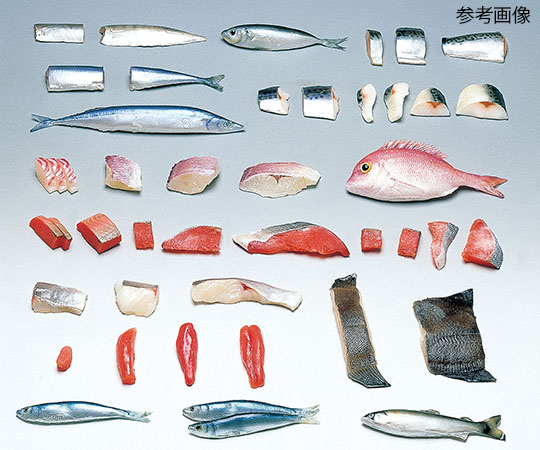 フードモデル(魚介類) さば80g
