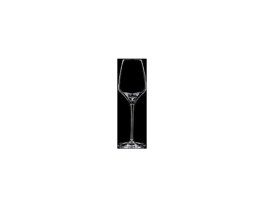 エクスペリエンス 04 ポート 6個入