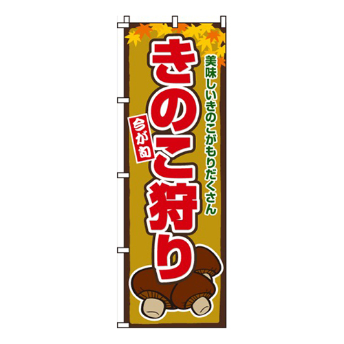 きのこ狩り画像