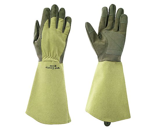 WEST COUNTY Rose モス XL画像