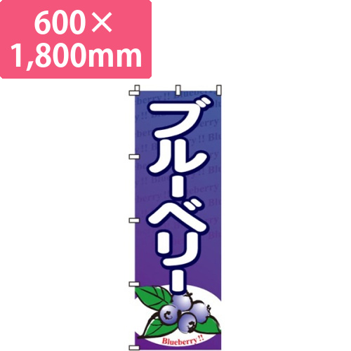 ブルーベリー青画像