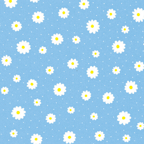 包装紙 半才特厚 プリエール Ｂ画像