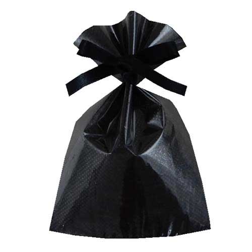 ソフトバッグクリア 2穴リボン巾着 S1 黒画像