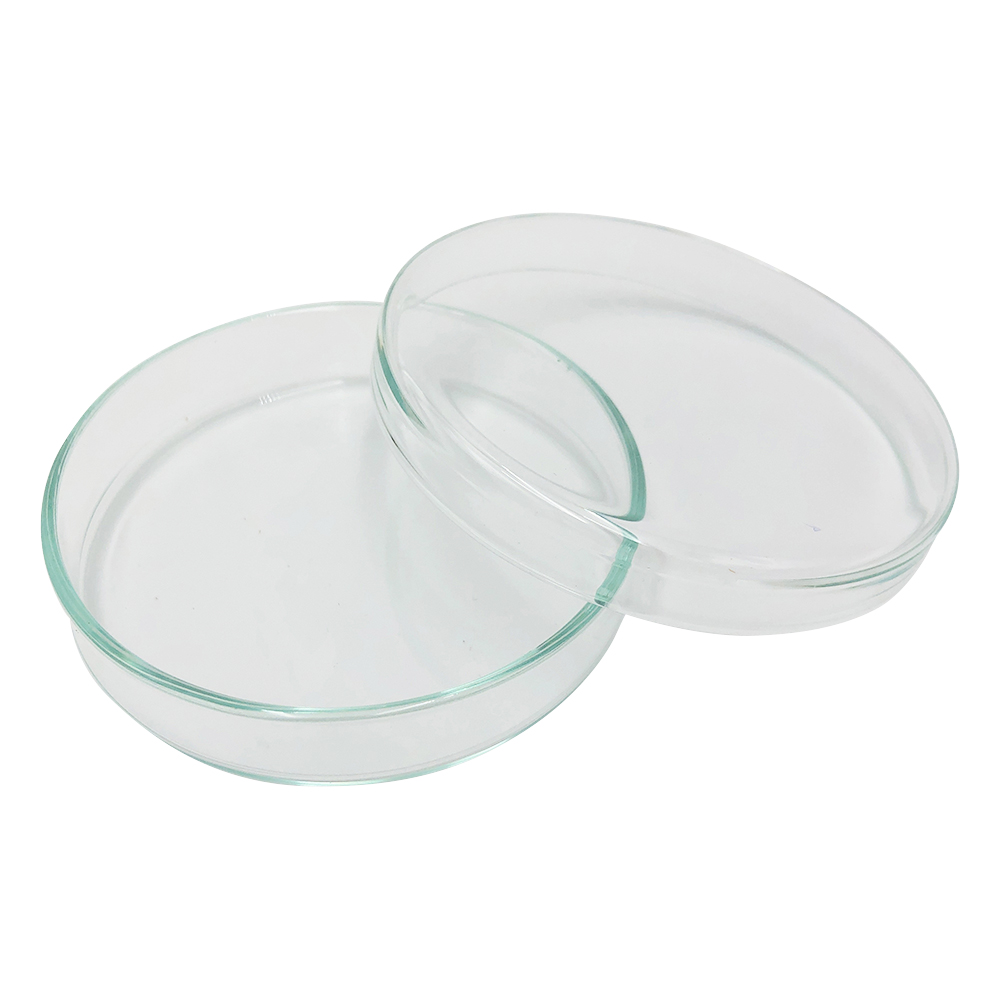 スタンダードシャーレ　φ80×15mm画像