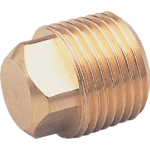 四角ﾌﾟﾗｸﾞ PT3/8(RoHS) 1個画像