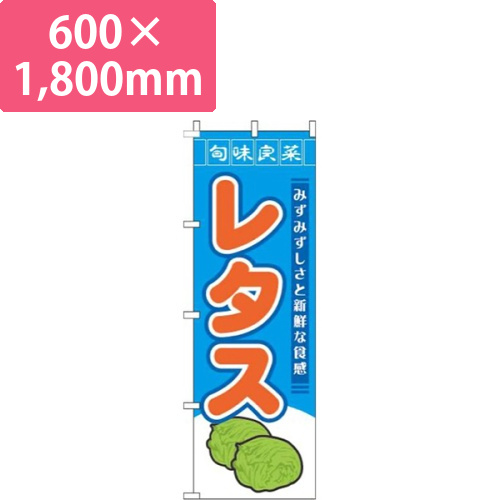 レタス旬味良菜水色画像