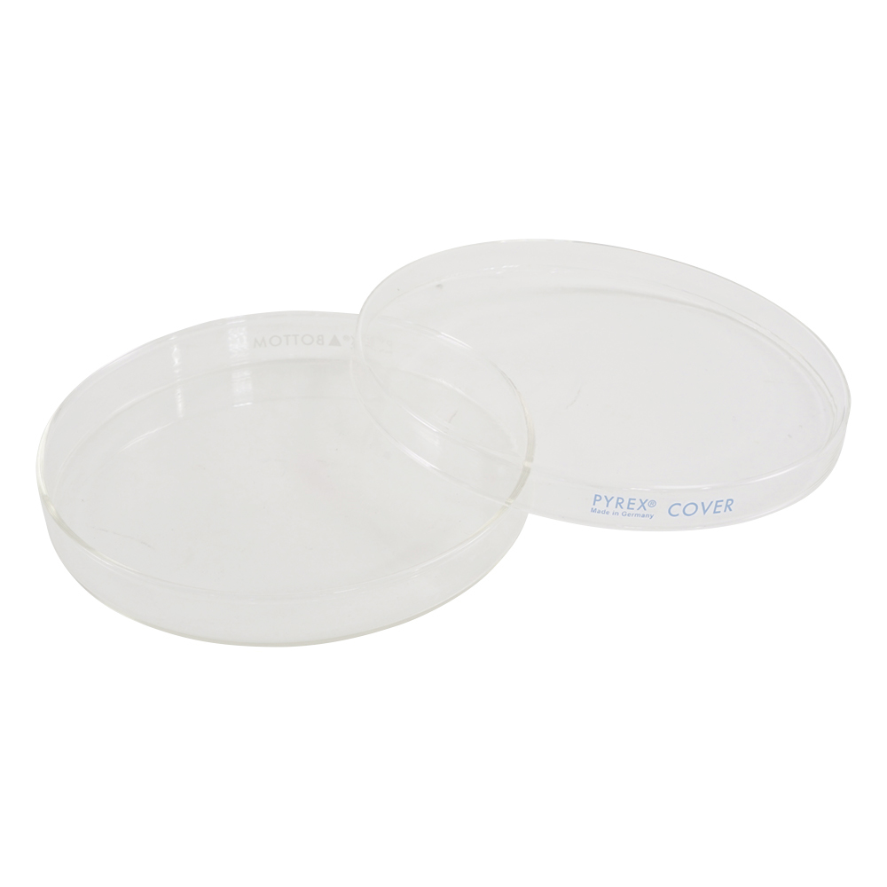 ペトリ皿　PYREX(R)　φ150×15mm画像