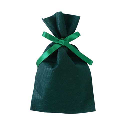 ソフトバッグベーシック2穴リボン巾着 S2 薄 グリーン画像