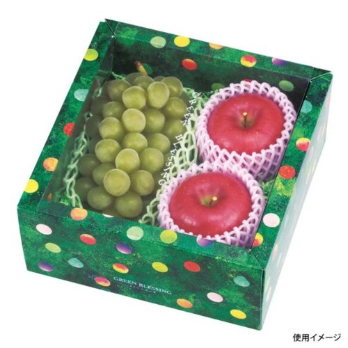 ギフト箱 L-2322 みどりのめぐ実 210角 グリーン ヤマニパッケージ [ケース販売]