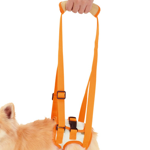 zuttone 老犬介護用 歩行補助ﾊｰﾈｽ 後足用K S 1個画像