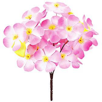 大桜ブッシュ画像