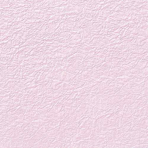 和紙 鳥の子 エンボス ＮＯ．２４ フジ画像