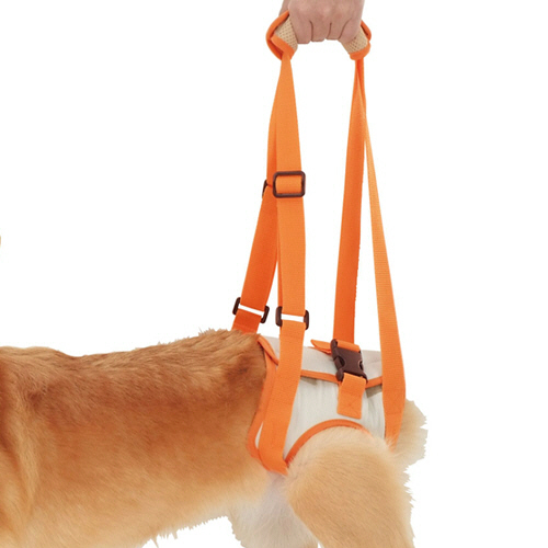 zuttone 老犬介護用 歩行補助ﾊｰﾈｽ 後足用K L 1個画像