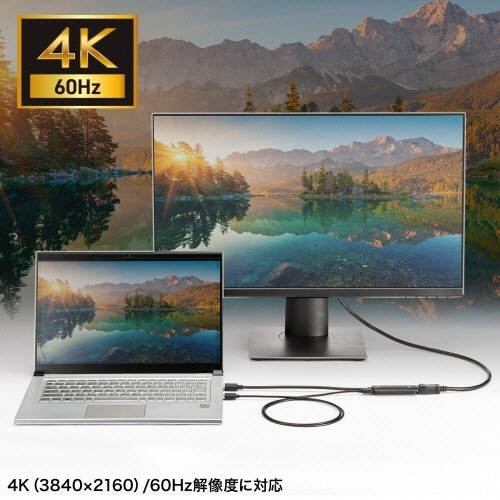 HDMI-DisplayPort変換アダプタ(4K/60Hz)　1個 ケーブル付きのアダプタが横から見える状態