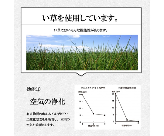 い草　くつろぐ　ごろ寝クッション　シンプル　約60×50×20cm トレンド感あふれるデザインのクッションが横置きされ、い草の質感が際立つ様子