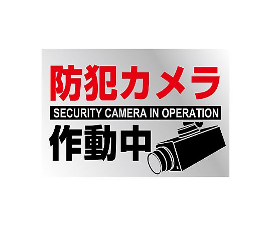 150x220mm 防犯用ステッカー(防犯カメラ/2枚) シールの表面にカメラのイラストと警告文が鮮明に印刷された状態