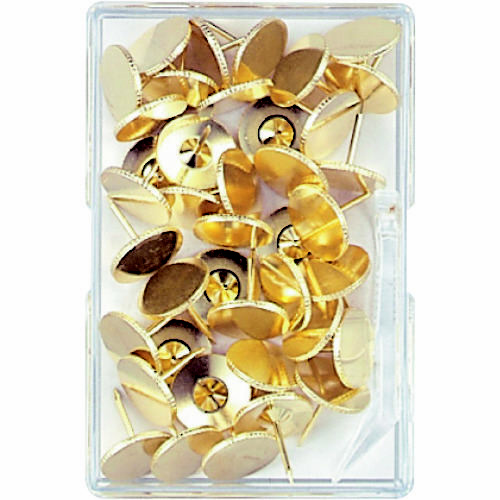 二重画鋲足長　４０本　Ｍ１０１５４画像