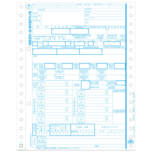 給与支払報告書 令和7年提出用(令和6年分) 1冊(100ｾｯﾄ)画像