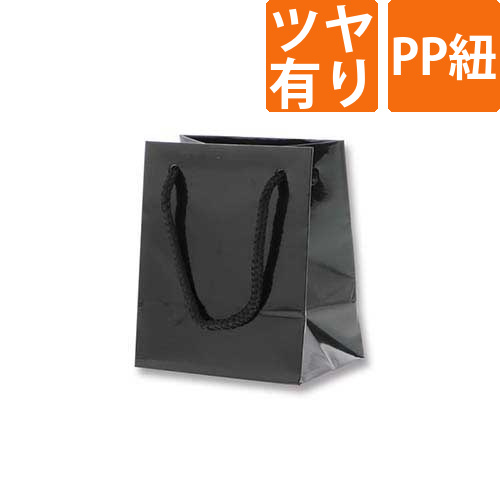 手提げ紙袋（黒 ツヤあり・PP紐・幅100×マチ70×高さ120mm）画像