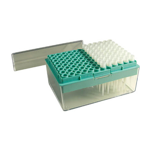 導電性05ﾍﾟﾀｽﾃｨｯｸ 1箱(48本)