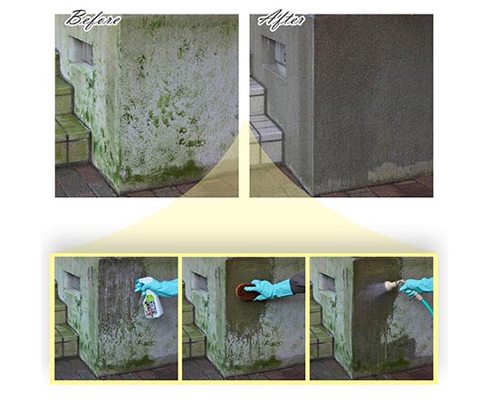 エクステリア・藻、コケ、カビ落し　500mL 瓶の前面にしっかりと印刷されたラベルが見える状態
