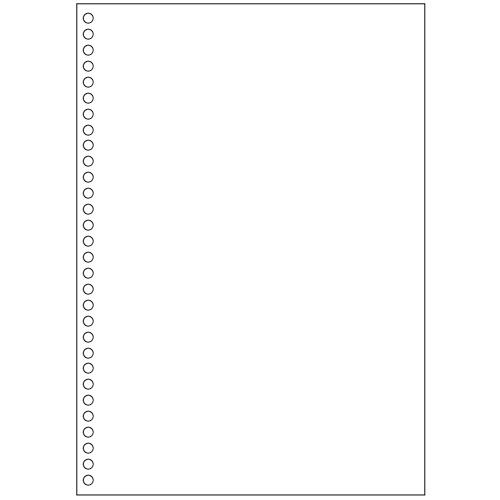 ﾏﾙﾁﾌﾟﾘﾝﾀ帳票(ｴｺﾉﾐｰﾌﾟﾗｲｽ) A4 白紙 30穴 1箱(2500枚)画像