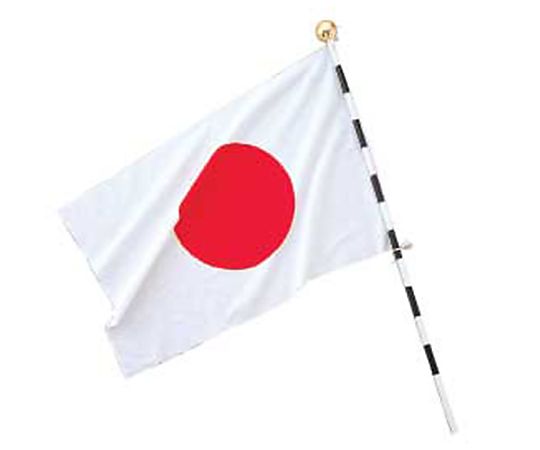 700x 900mm 国旗セット(組立式) 鮮やかな国旗が広がる組立式セットの全景