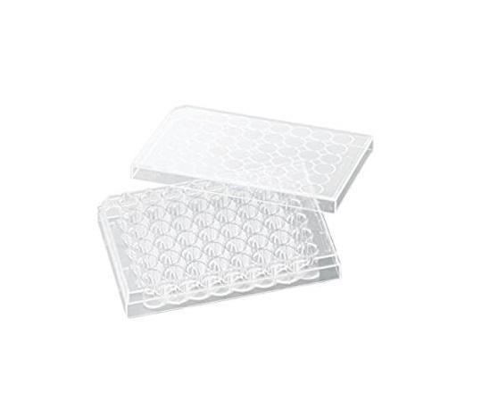 ビオラモ 細胞培養プレート 1箱（50個入）画像