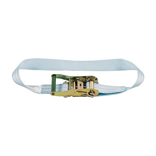 田村 ﾗｯｼﾝｸﾞ TR30-N-6.0 1台画像