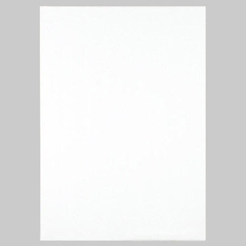 模造紙(ﾌﾟﾙﾀｲﾌﾟ) 本体 765×1085mm 無地 ﾎﾜｲﾄ 1ｹｰｽ(20枚)画像