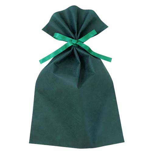 ソフトバッグベーシック2穴リボン巾着 S6 薄 グリーン画像