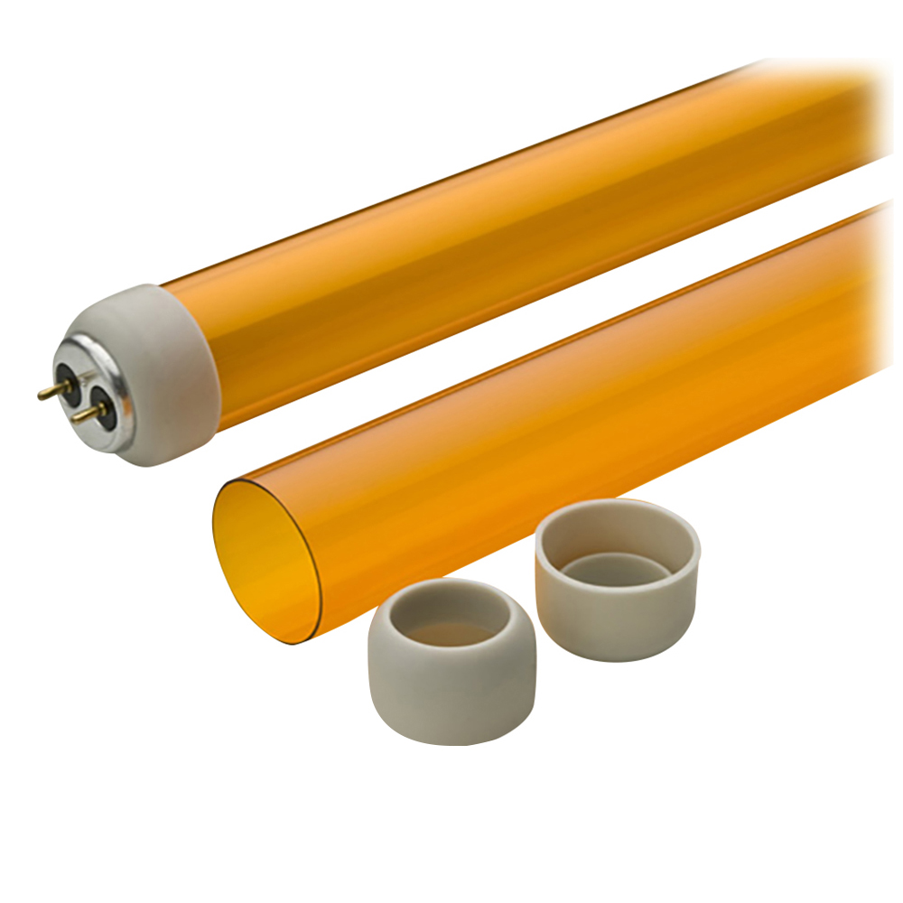 バンガード　オレンジ画像