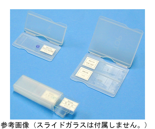 プレパラートケース（5枚用）画像