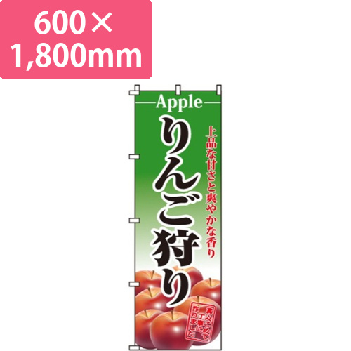 りんご狩り画像