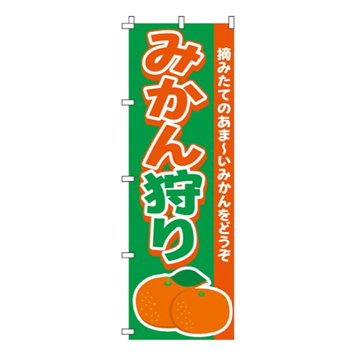 みかん狩りあま～いみかん画像