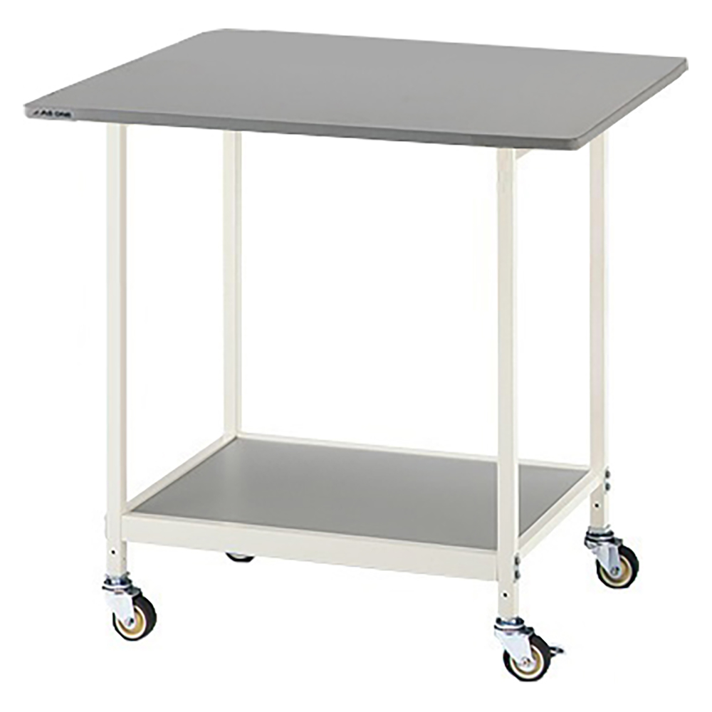 ニューラボベンチ（ホワイトカラー）　耐荷重仕様画像