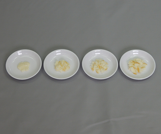 フードモデル　離乳食・発達段階別素材単品　白身魚画像