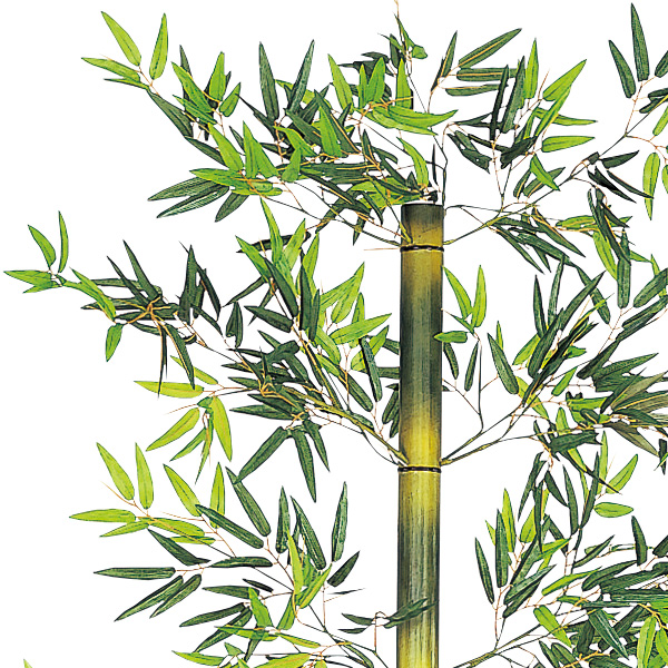 243cmバンブー立木セット画像