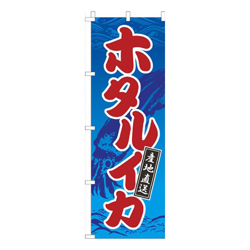 ホタルイカ青波画像