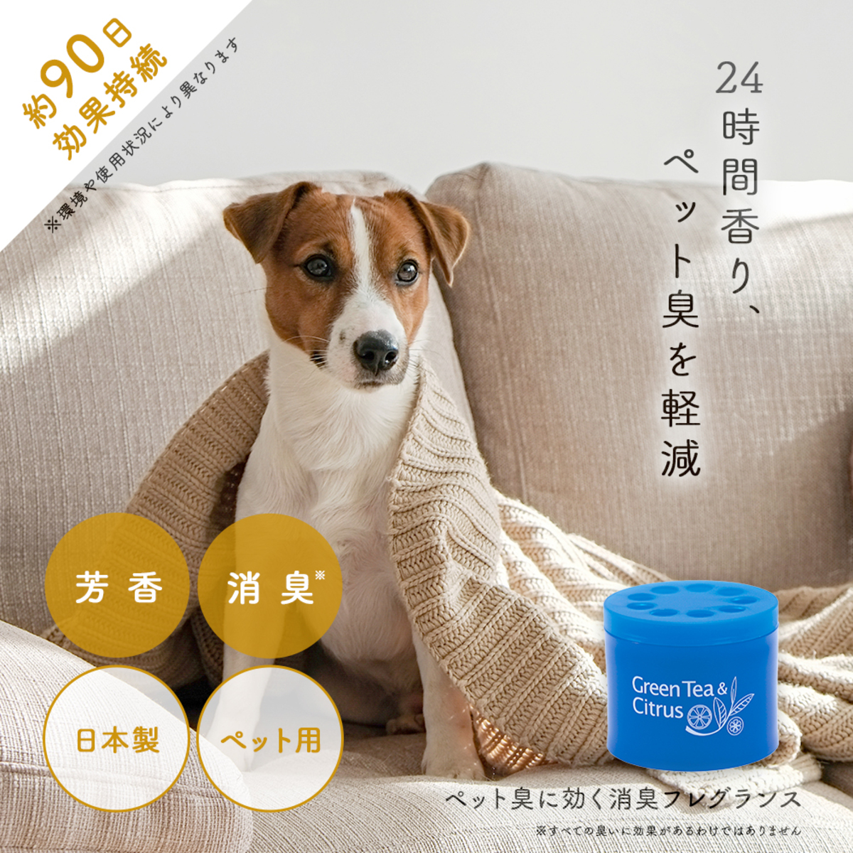 消臭剤　ペット臭に効く消臭フレグランス 商品の上部が見える状態で、ボトルが立てられている。