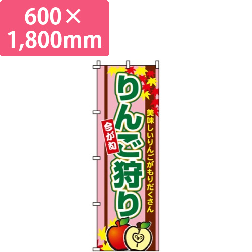 りんご狩り今が旬画像