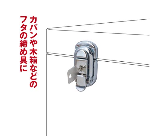鍵付きパッチン　楕円 斜めから見た光沢のある本体の細部