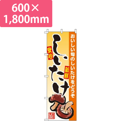 しいたけ画像
