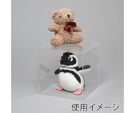 アクリルサイコロ 5面体 200角 透明なアクリル素材で、内部の色合いが透けて見える状態