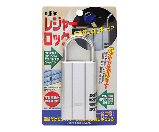 レジャーロック　シルバー画像