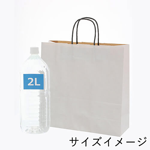 ショップバッグや持ち帰り用に！幅と高さがほぼ正方形で、再生紙使用の手提げ紙袋