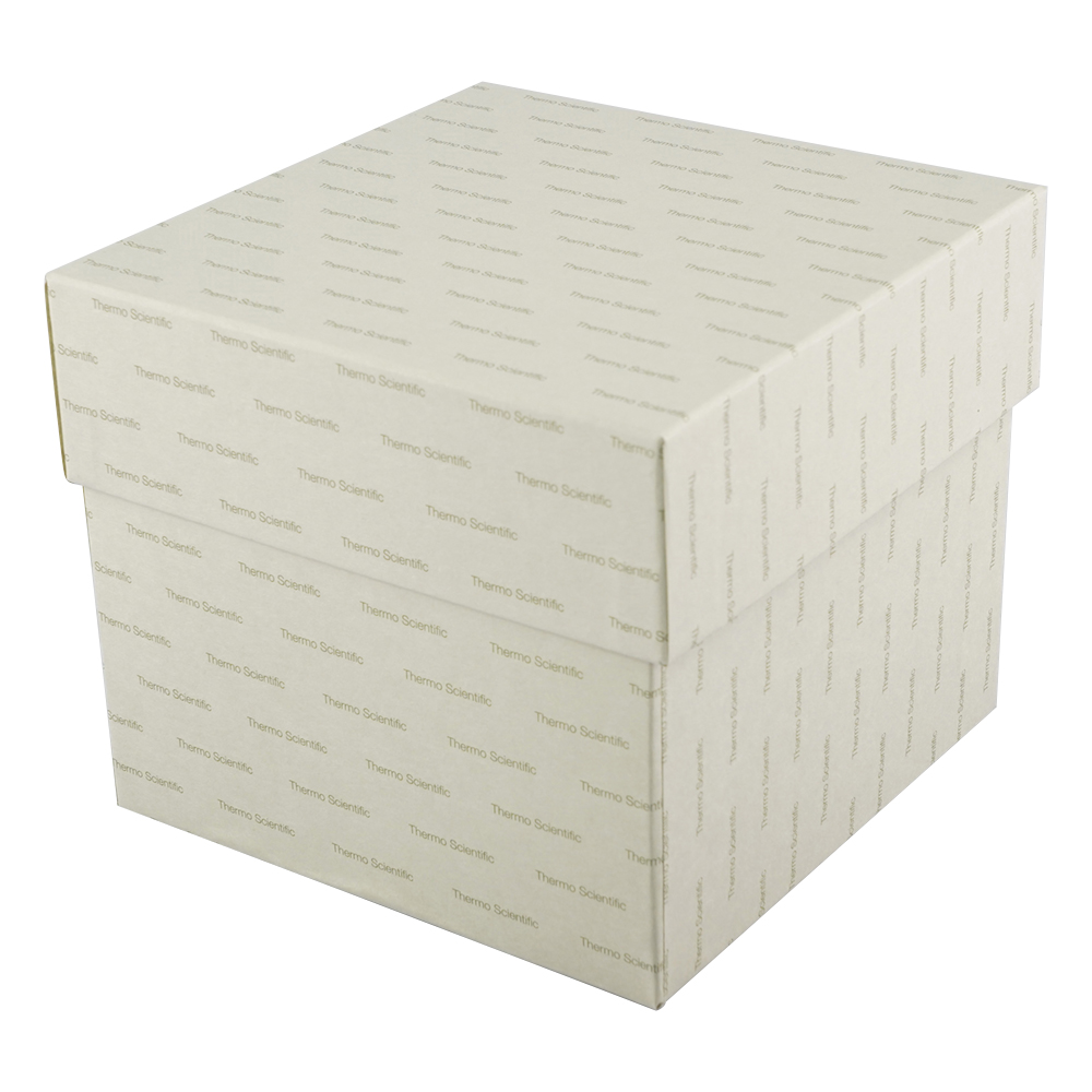 フリーズボックス 147×147×125mm 1箱（10個入）画像