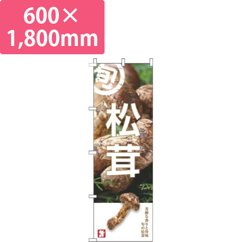 松茸旬写真画像