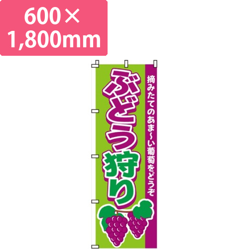 ぶどう狩り画像