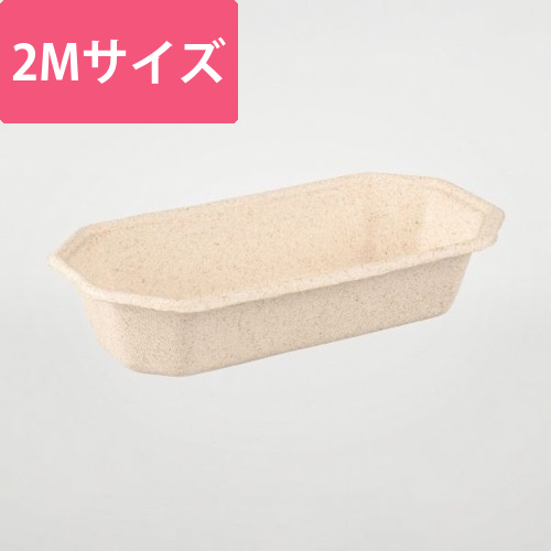 パックスタイル バガス容器 WBフルーツ 2M画像